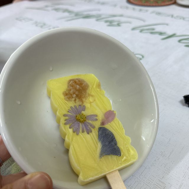 新界東北梅子林荔枝窩 睇壁畫嘆花花雪條🌸🌼