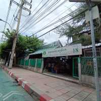 เดินตลาดต้นไม้ ตลาดนัดสวนจตุจักร
