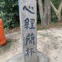 大嶼山昂坪(心經簡林)