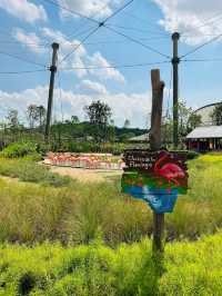 Asia’s Largest Birdpark 🐧