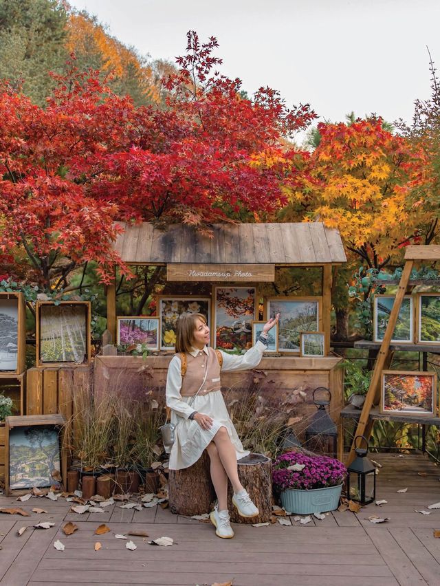 จุดชมใบไม้เปลี่ยนสี ที่สวยสุดในเกาหลี Hwadamsup