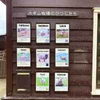 シープドッグショーの牧羊犬ソフィちゃんの働きぶりがすごすぎる六甲山牧場の【南エリア】