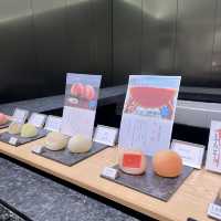 🇯🇵 Shopping at Ginza Six 