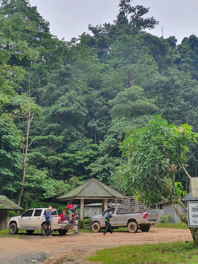 พาเดินเทรล"ดอยลับ" อุทยานแห่งชาติดอยสอยมาลัย