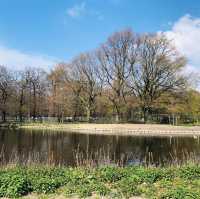 🇳🇱荷蘭海牙🌳🦆🐦The Hague (Den Haag)🌤️城市風光景色優美