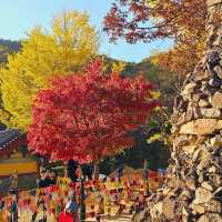 Embracing Autumn Foliage in Juwangsan