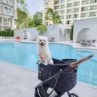 โรงแรม Pet Friendly สไตล์มินิมอล มู้ดดีเต็มสิบ!