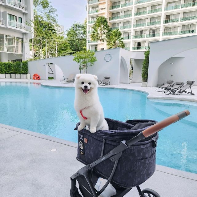 โรงแรม Pet Friendly สไตล์มินิมอล มู้ดดีเต็มสิบ!