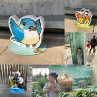 香港人後花園☺️雀鳥嘅天堂🪿🦆🐦‍⬛
