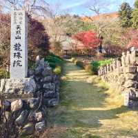 青梅方面に紅葉ドライブ