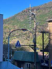 Lovely food and Enjoy Hot Spring all-together