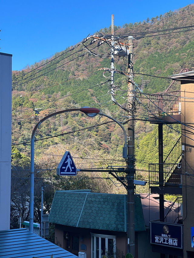 Lovely food and Enjoy Hot Spring all-together