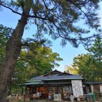 栗林公園　高松市