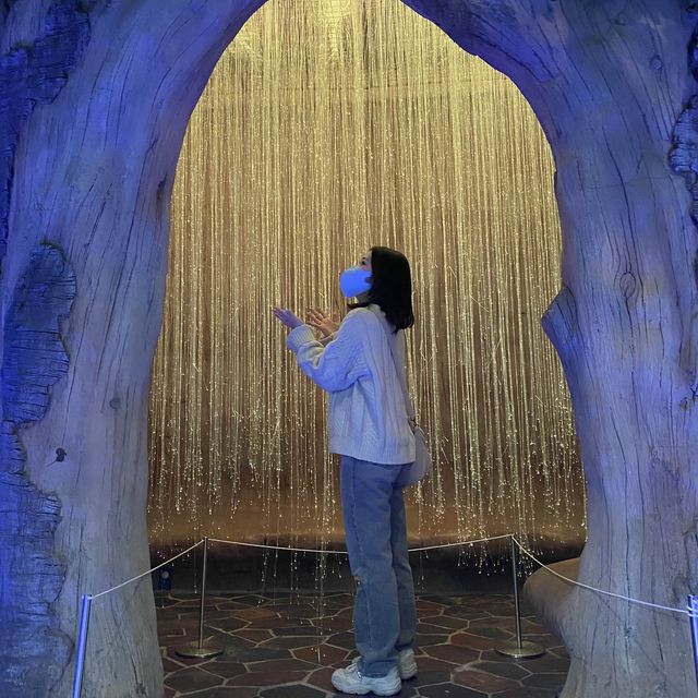 다이빙쇼, 물개쇼, 돌고래쇼 볼거리가 가득한 “아쿠아플라넷” 제주