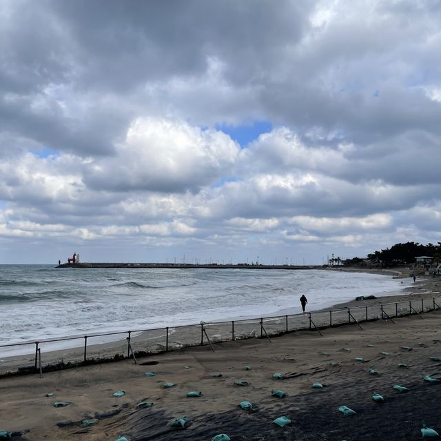 한적한 제주도 해변가, 이호테우 해변🐴