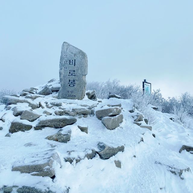 오대산 비로봉 눈꽃여행