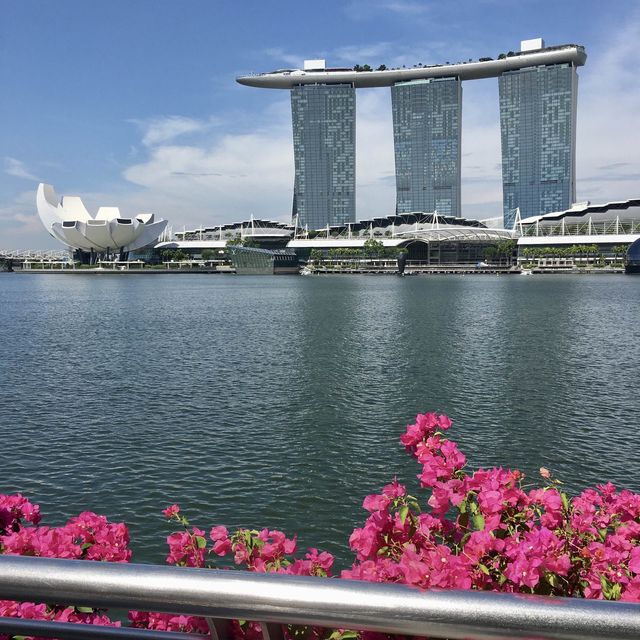 Marina Bay Sands Hotel - Singapore 