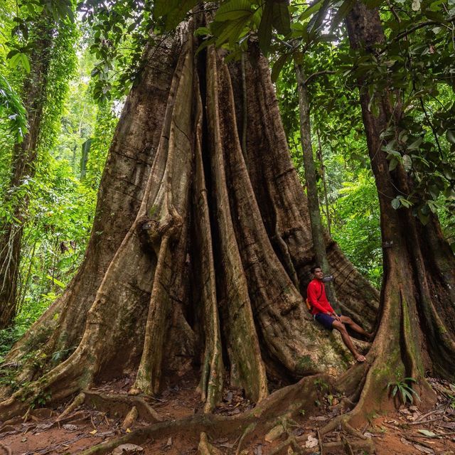 เกาะยาวน้อย ความสงบที่ทุกคนค้นหา