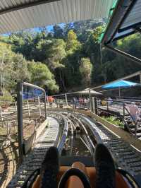 Datanla New Alpine Coaster - fast furious 