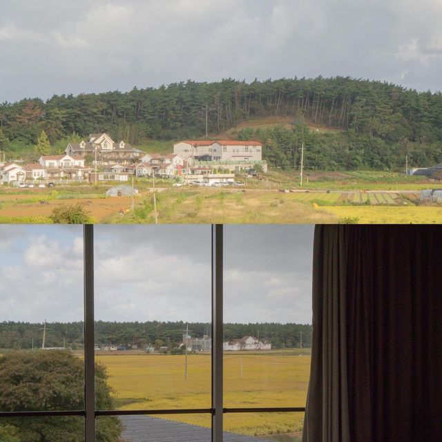 태안에서 동남아분위기 느낄 수 있는 엘렌리조트 🌴✨