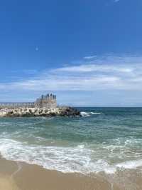 역시 바다는 강릉 송정해수욕장🌊💙