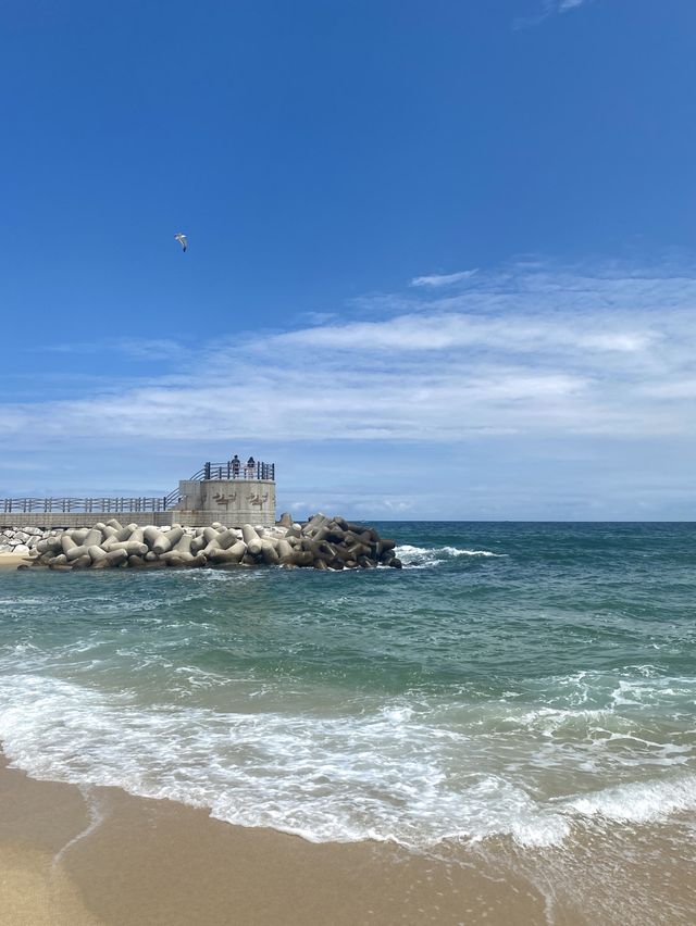 역시 바다는 강릉 송정해수욕장🌊💙
