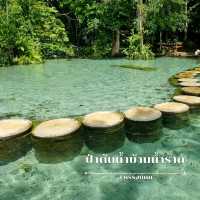 รวมจุดเช็คอิน สุราษฎร์ธานี 🐚🌳 