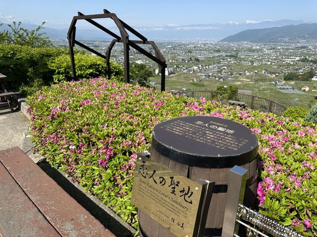 山梨・勝沼。勝沼のワインを楽しむ『甲州市勝沼 ぶどうの丘』