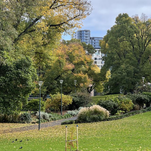 สวนสาธารณะ flagstaff, CBD Melbourne 🛋️🌳