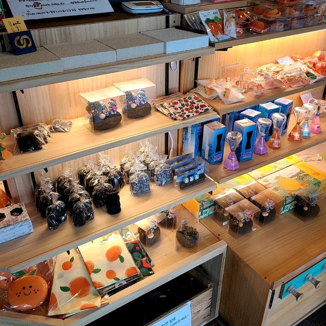 봉유 - 제주 신화월드 근처 돈까스, 짬뽕맛집 (애견동반, 조식 가능)