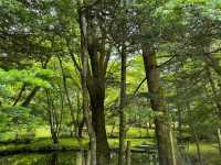 遊輕井澤人氣靚景