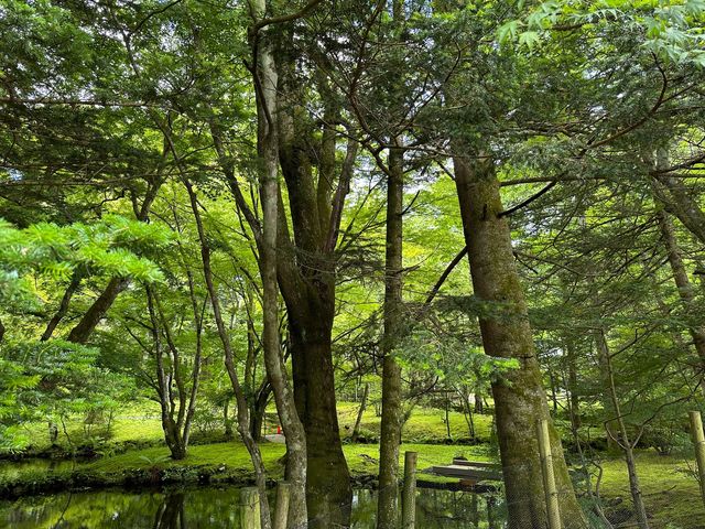 遊輕井澤人氣靚景