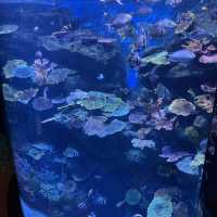 曼谷暹羅海洋世界