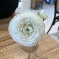 송도 센트럴파크에서 즐기는 티파티, 코펜하겐 티 아틀리에 ☕️