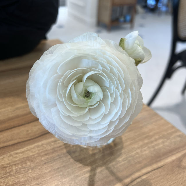 송도 센트럴파크에서 즐기는 티파티, 코펜하겐 티 아틀리에 ☕️