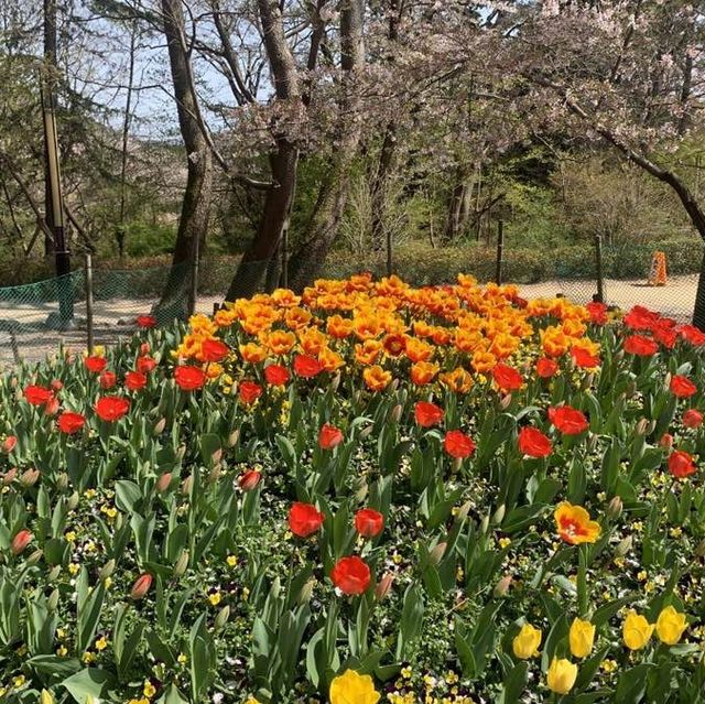 사진 작가들이 뽑은 국내의 아름다운 사진 명소, 진해내수면환경생태공원