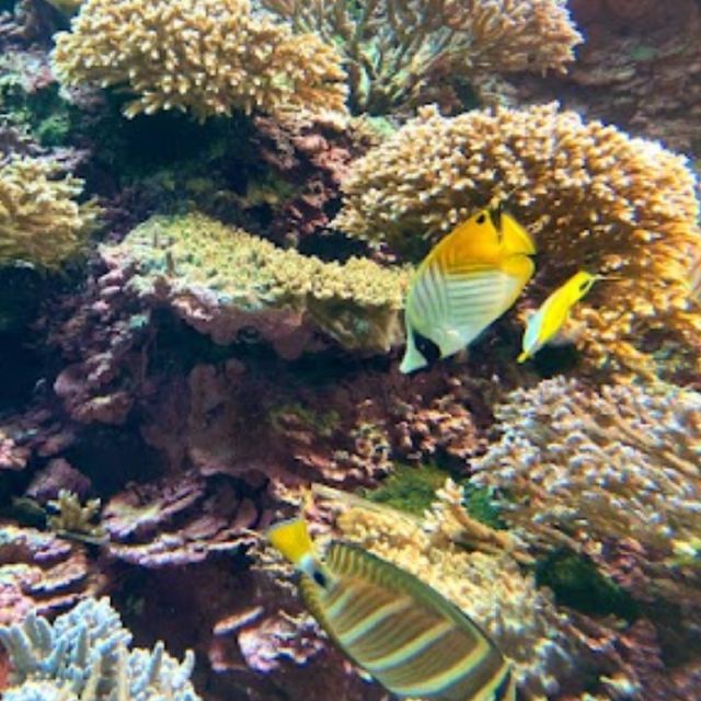 📍葛西臨海水族園