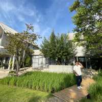 Doowall hotel gallery โรงแรมวิวสวย