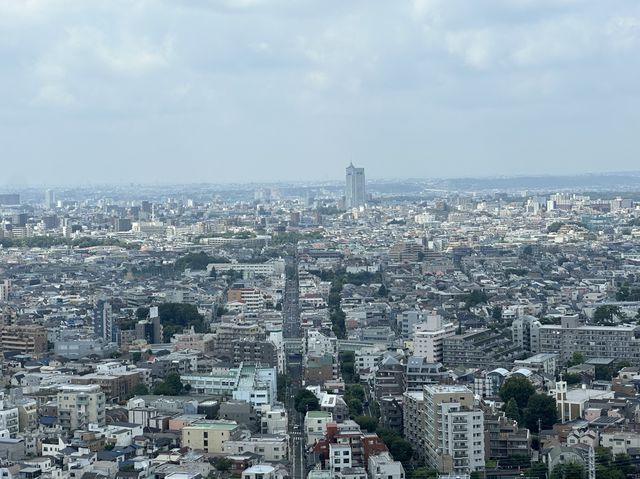 東京・三軒茶屋。無料で地上126mから都心や東京タワーの夜景も楽しめる『スカイキャロット展望ロビー』