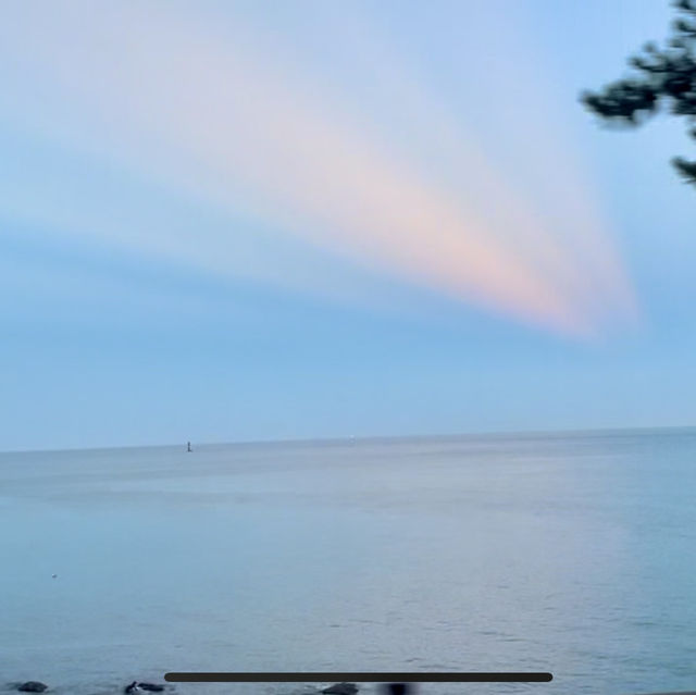 【韓國釜山】海雲台海岸列車🚞一望無際海景 