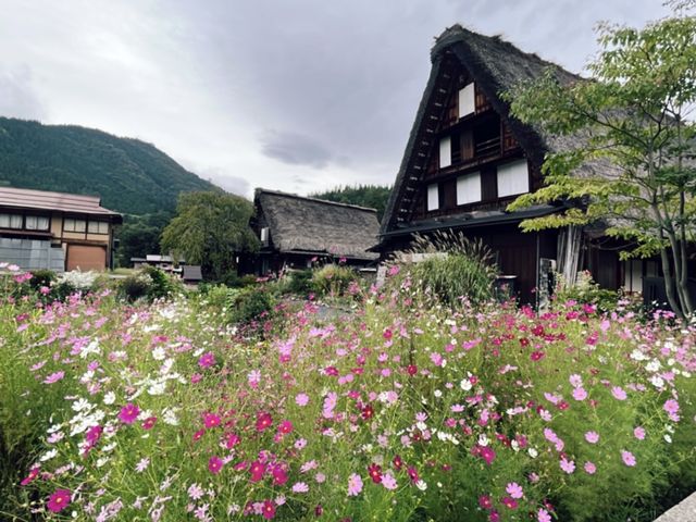 造訪世界遺產 @ 白川鄉合掌造聚落