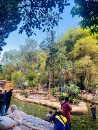 Must Visit Attraction In Bandung♨️