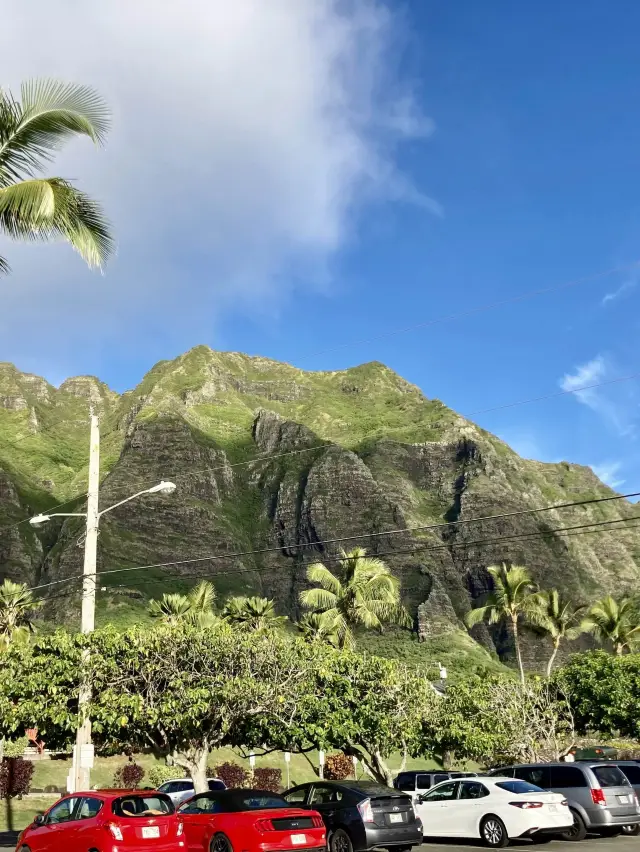 하와이🌺 쥬라기공원 촬영지 <쿠알로아 랜치>🌴