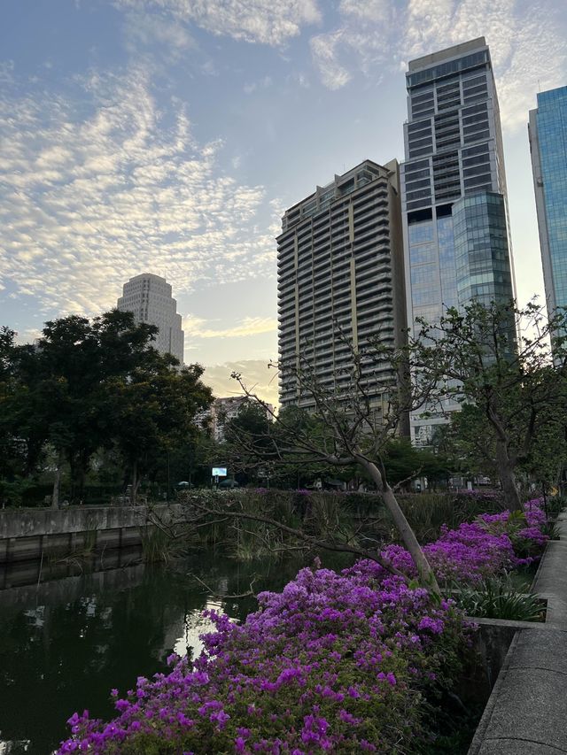 สวนเบญจกิติ 🌳🍃