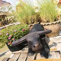 คาเฟ่กลางทุ่งนา นครนายก