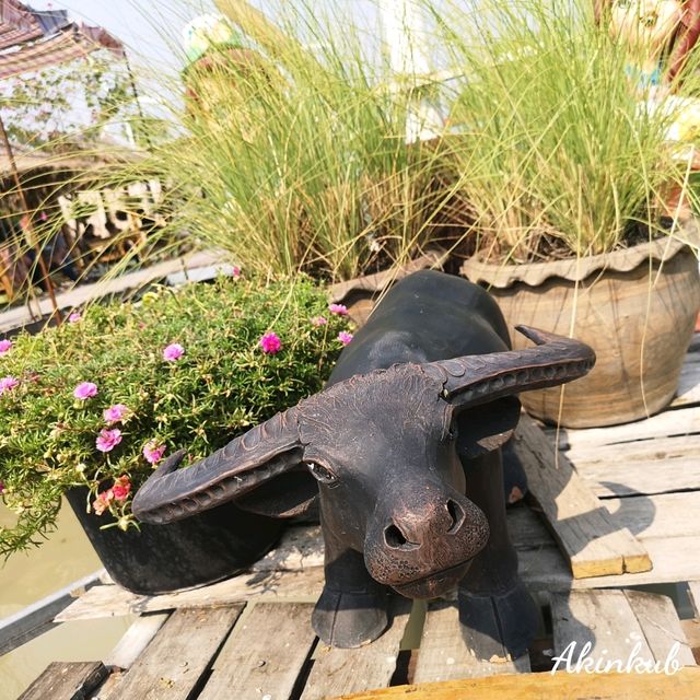 คาเฟ่กลางทุ่งนา นครนายก