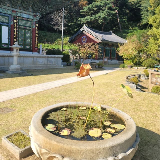 경기도여행 수원 광교에 숨겨져 있는 예쁜 절 봉녕사