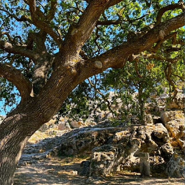 A BYZANTINA CASTLE IN CORFU!