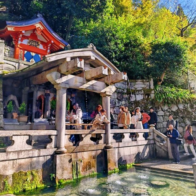 Autumn Night Illumination of the Kiyomizu-dera