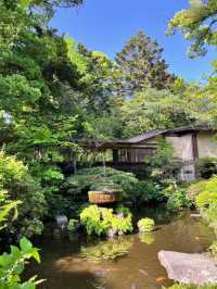 【小田原パワースポット】陽の光が心地良い報徳二宮神社